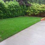new lawn